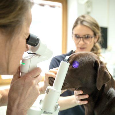 Tierklinik Weilheim