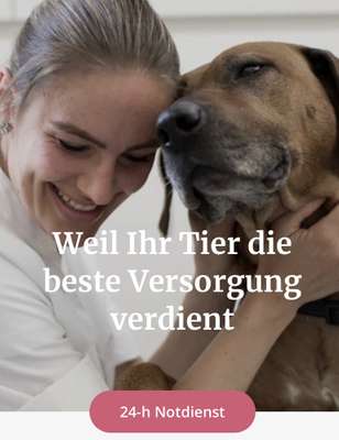 Dr. Angelika Kappler - Tierärztin