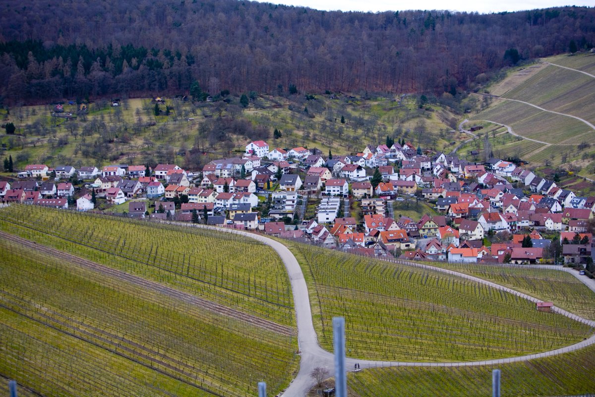 AniCura Kleintierzentrum Neckarwiesen