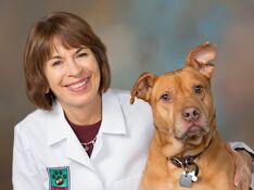 Dr.med.vet. Gudula Golomski