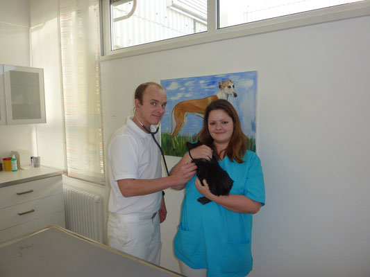 Tierarztpraxis Dr. med. vet. Jochen Schäfer