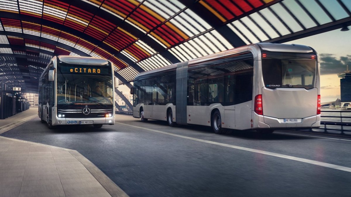Buss Thomas Dr.med.vet.