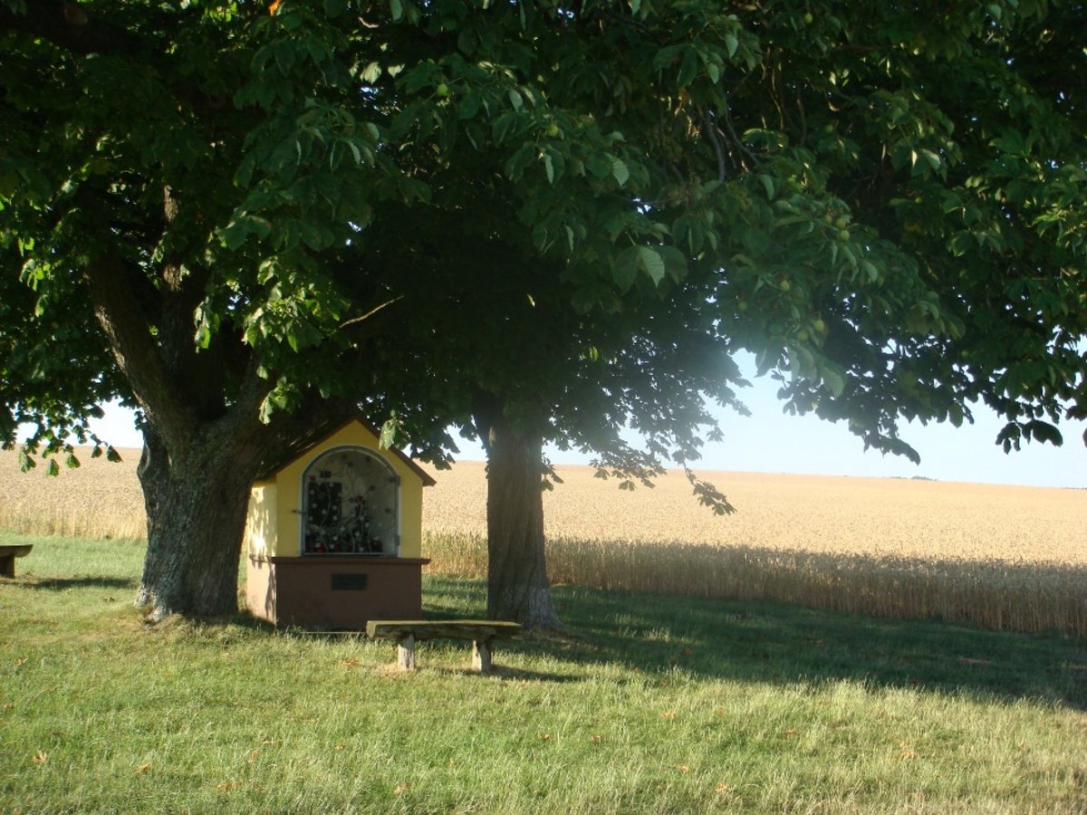 Kleintierzentrum Neckar-Odenwald