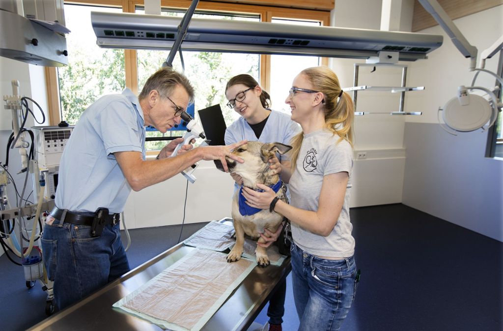 AniCura Tierklinik Stuttgart Plieningen