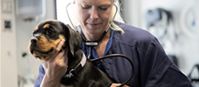 AniCura Kleintierspezialisten Ravensburg | 24h-Notdienst Tierklinik
