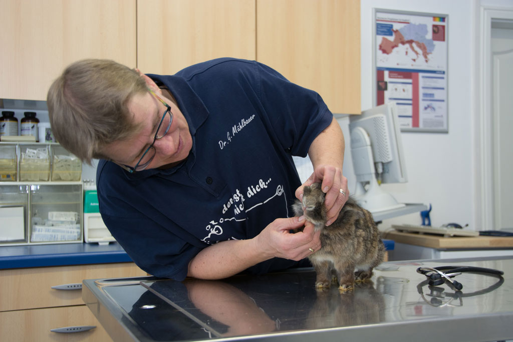 Dr. med. vet. Gabriele Mühlbauer