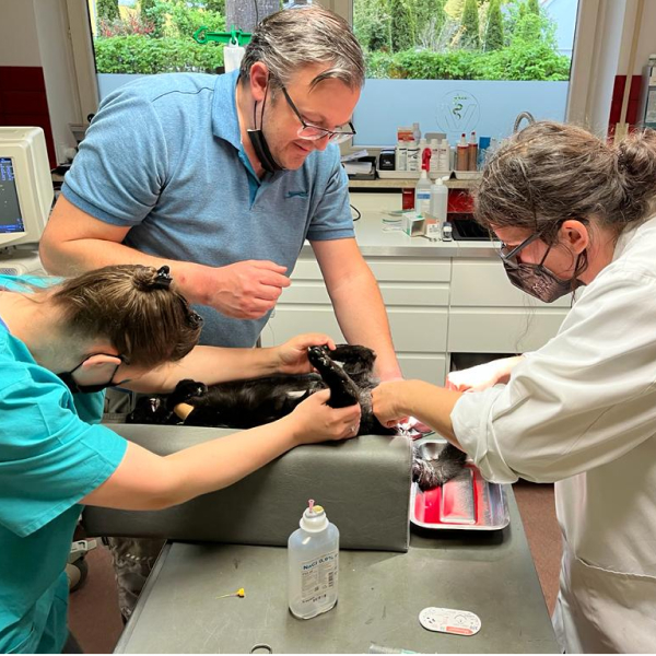 Tierarzt Dr.med.vet.Tobias Zauscher, Notdienst, offene und Terminsprechstunde
