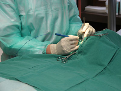 Tierärztliche Praxis Dr. med. vet. Martin Rammensee