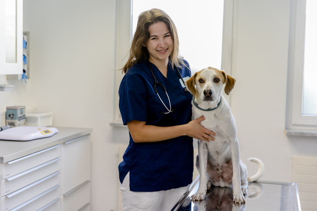 Tierärztliche Klinik Schille