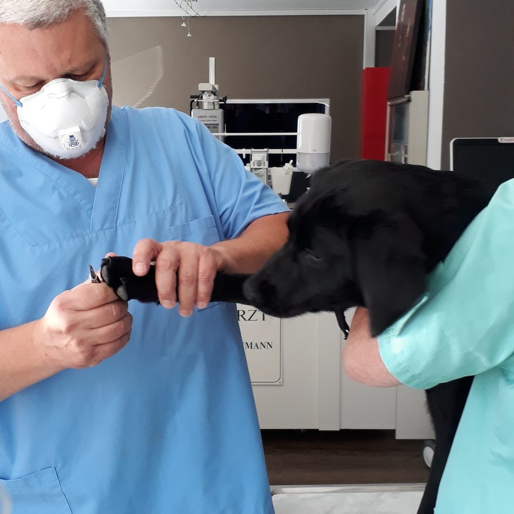 Tiergesundheitszentrum Meitingen - Veternicum Donauwörth GmbH