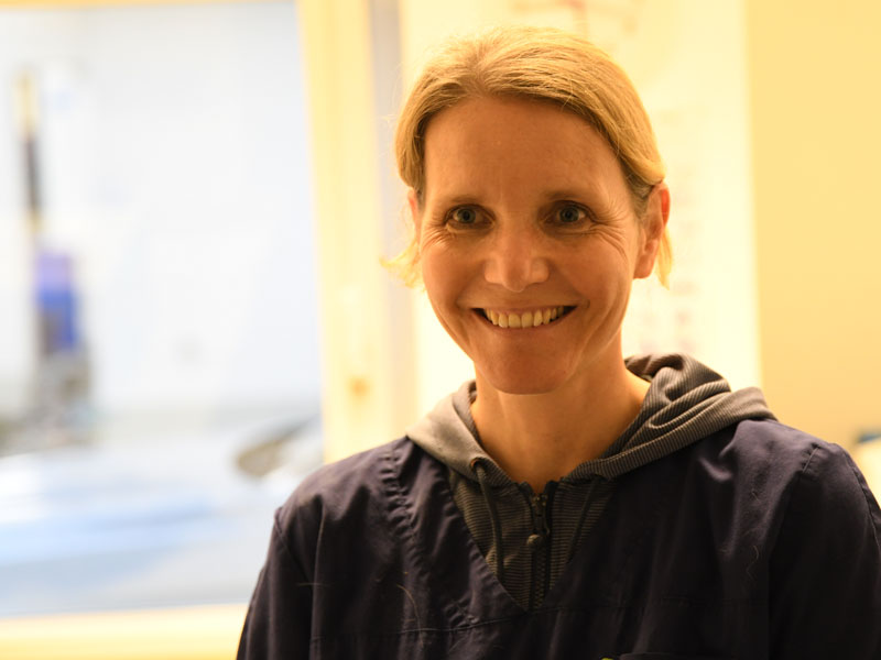 Tierärztliches Gesundheitszentrum Piding, Dr. Gödde & Kollegen