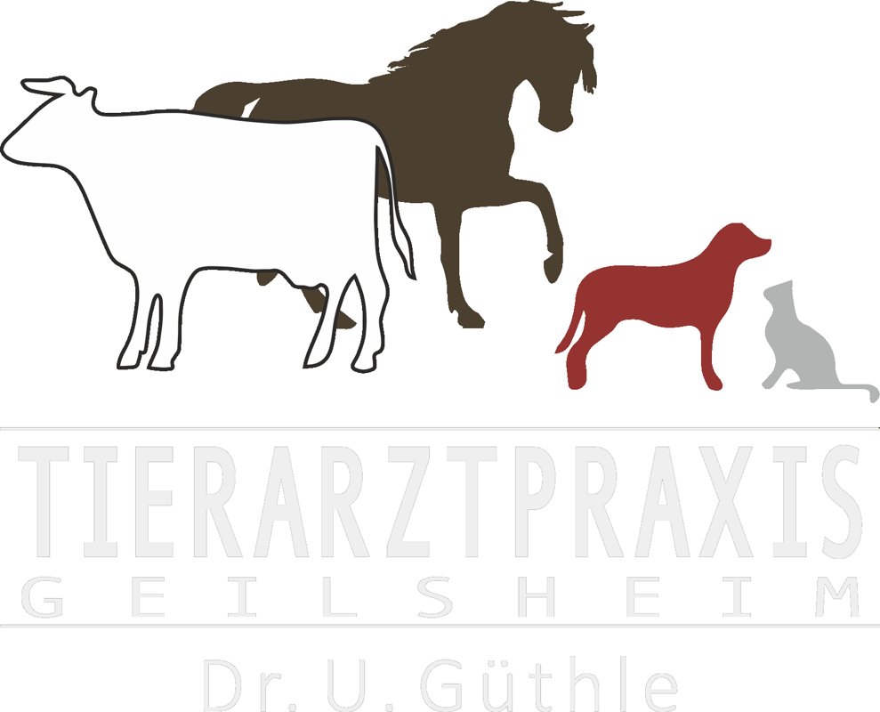 Tierarztpraxis Dr.U.Güthle