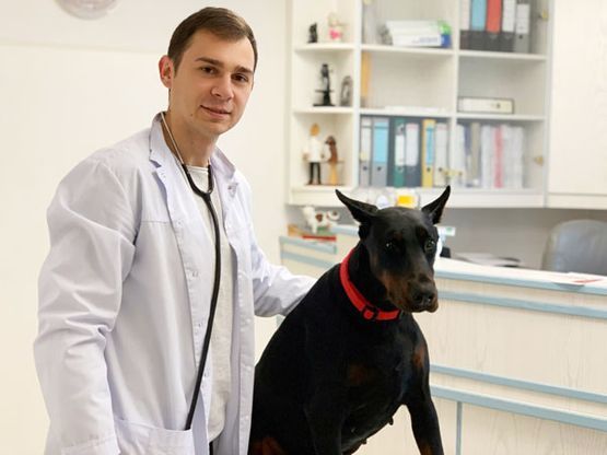 Tierarzt Weismain Igor Peresada