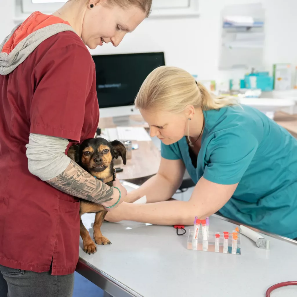 Tierärztliche Gemeinschaftspraxis Dr. Natalie Steidele & Tobias Friz GbR