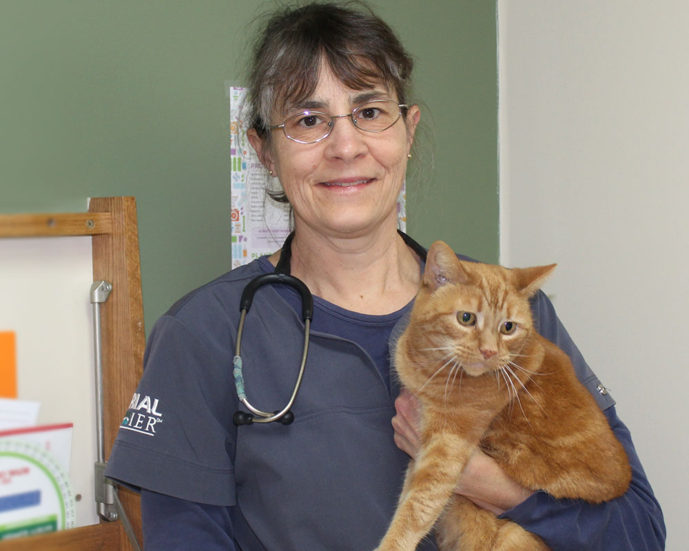 Dr. med. vet. Annegret Kaspers