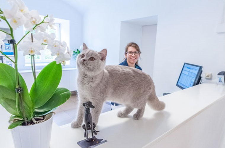 Tierärztliche Gemeinschaftspraxis für Kleintiere - Dr. Astner und Dr. Neumaier