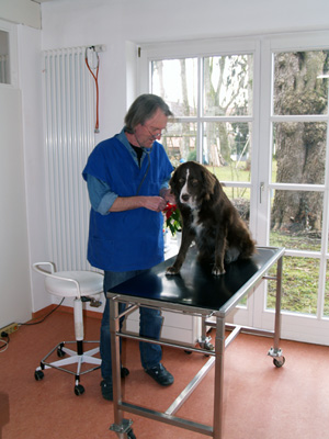 DR. Weber Hartmut, Tierarztpraxis Apfeldorf