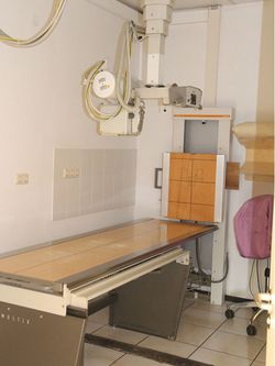 Dr.med.vet. Sabine Sinowatz Tierärztin