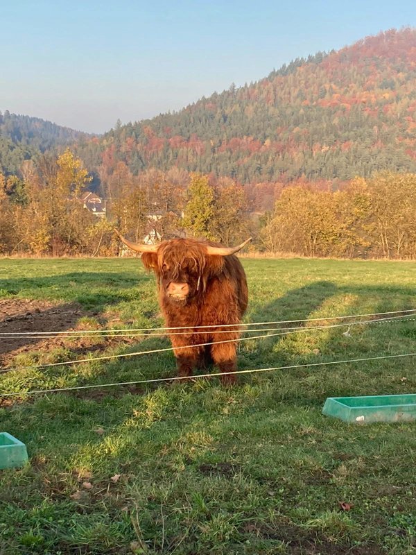 Landtierärzte GbR