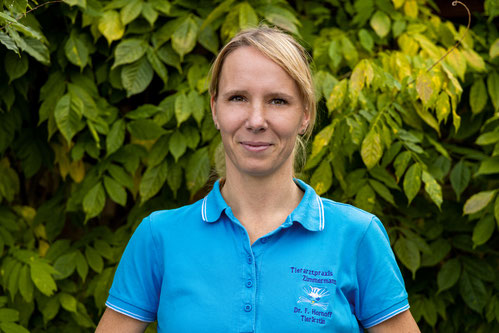 Kleintierpraxis Dr. med. vet. Annett Zimmermann