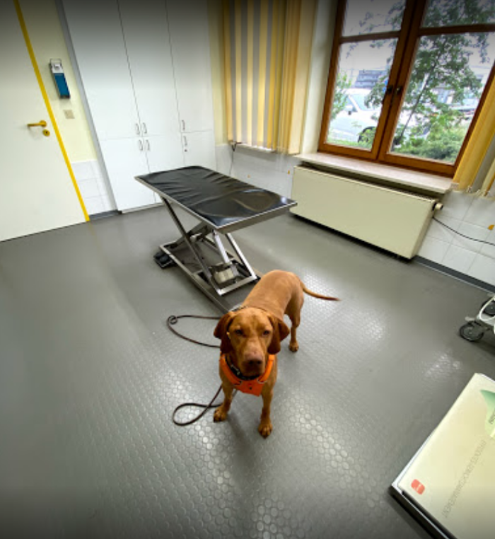 Tierärztliche Praxis Dr. med. vet. Martin Rammensee