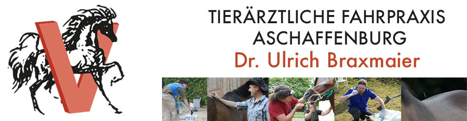 Tierärztliche Fahrpraxis Aschaffenburg, Dr. Ulrich Braxmaier