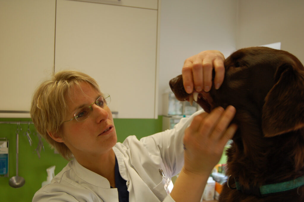 Chiemgau-Tierarzt Dr. Weiß & Dr. Sommerer