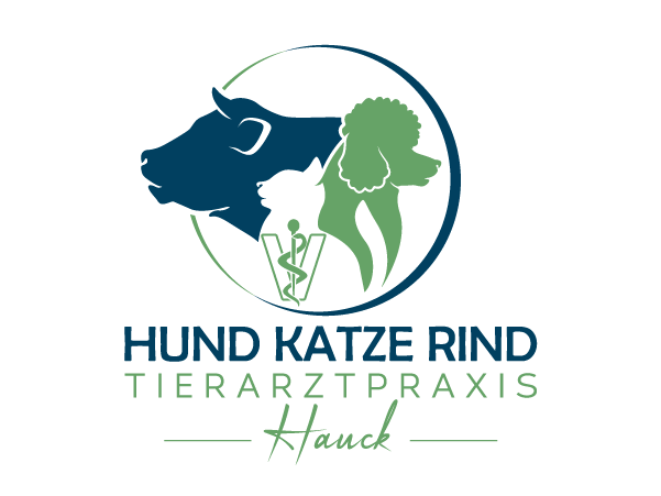 Hund-Katze-Rind - Tierarztpraxis Hauck