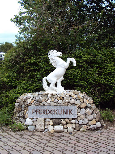 Tierärztliche Klinik für Pferde Wolfesing