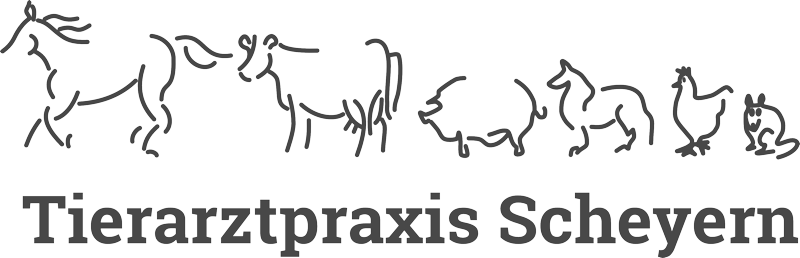 Tierarztpraxis Dr. med. vet. Ines Unger