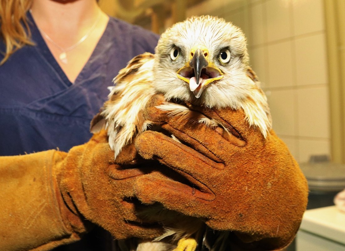 Tierklinik Blaichach