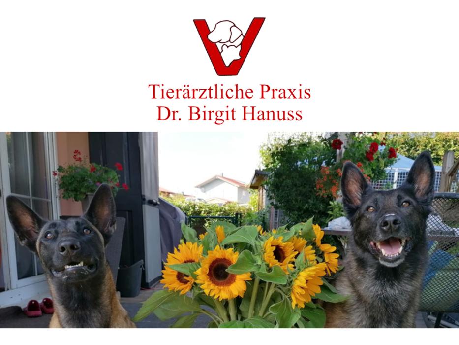 Tierärztliche Praxis Dr. med. vet. Birgit Hanuss