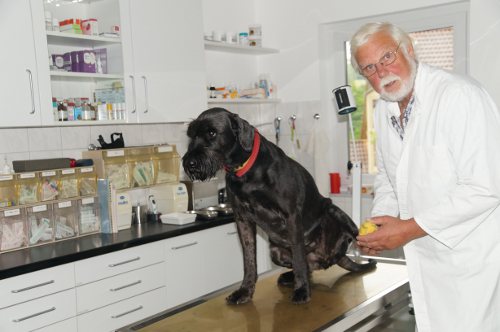 Dr. Dirk Lellbach, prakt. Tierarzt