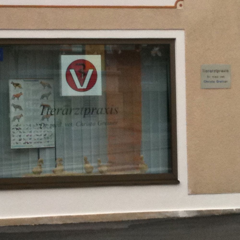 Tierärztin Dr.med.vet. Bärbel Kaisershot