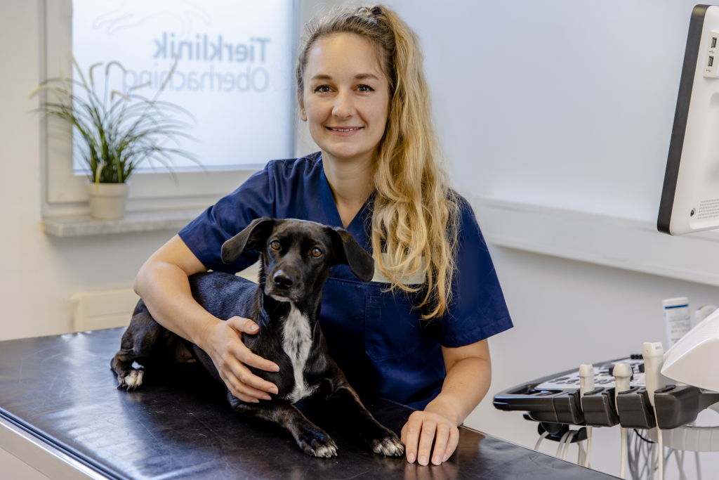 Tierklinik Oberhaching