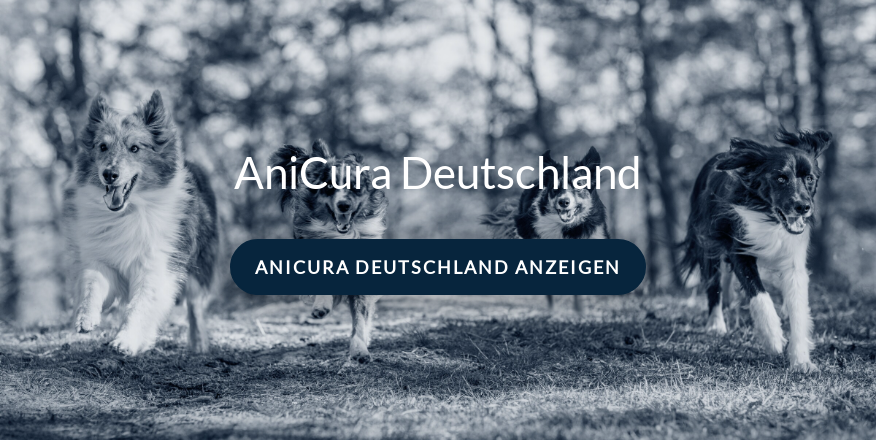 AniCura Tierklinik Bamberg