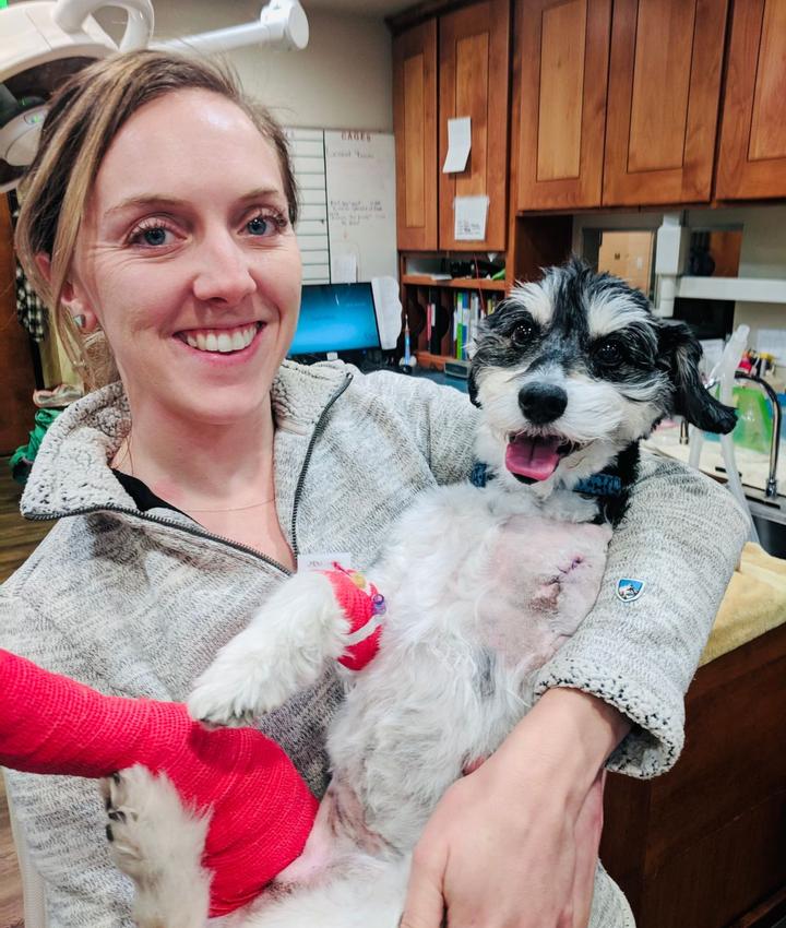 Dr. med. vet. Andrea Restle