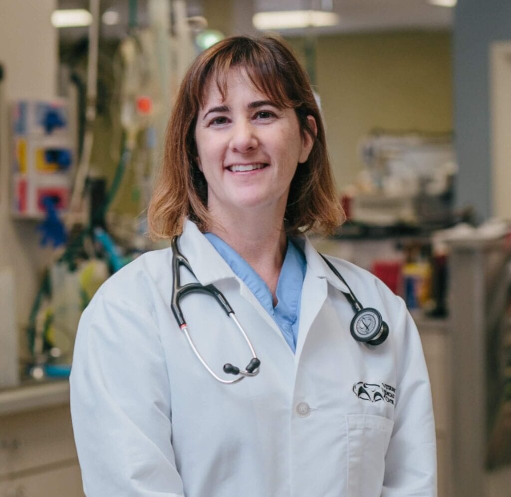Dr. med. vet. Katharina Gang-Stiller