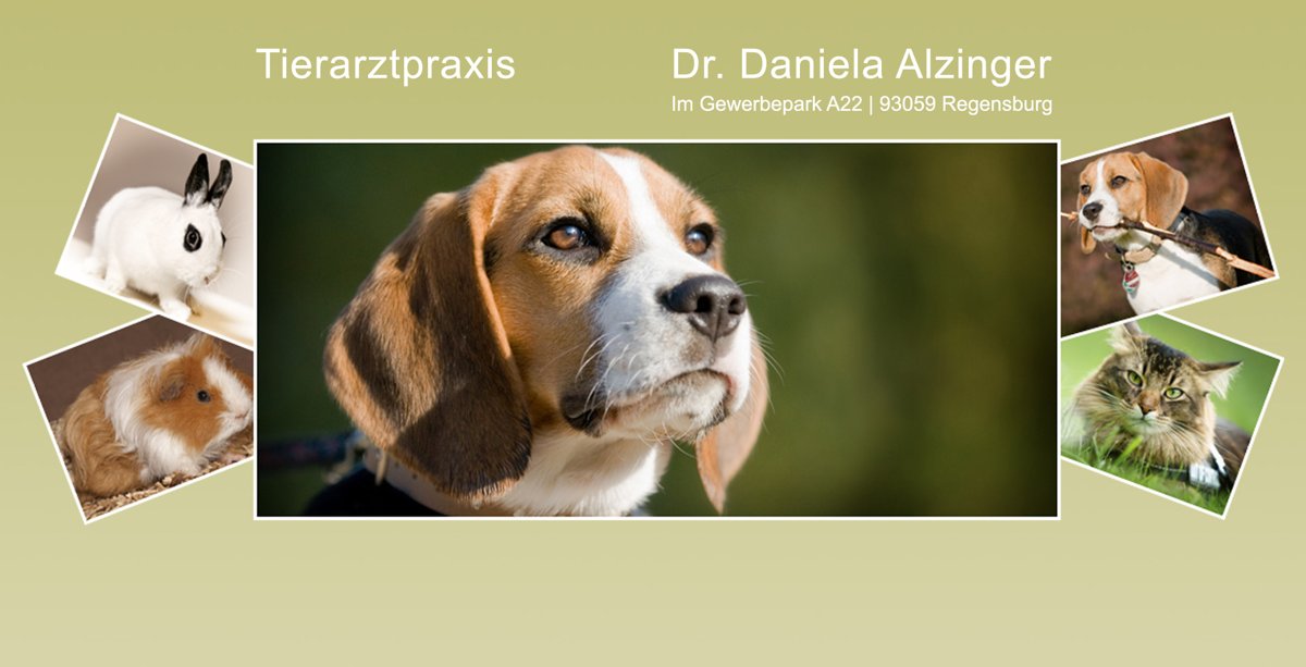 Tierarztpraxis Dr. Daniela Alzinger