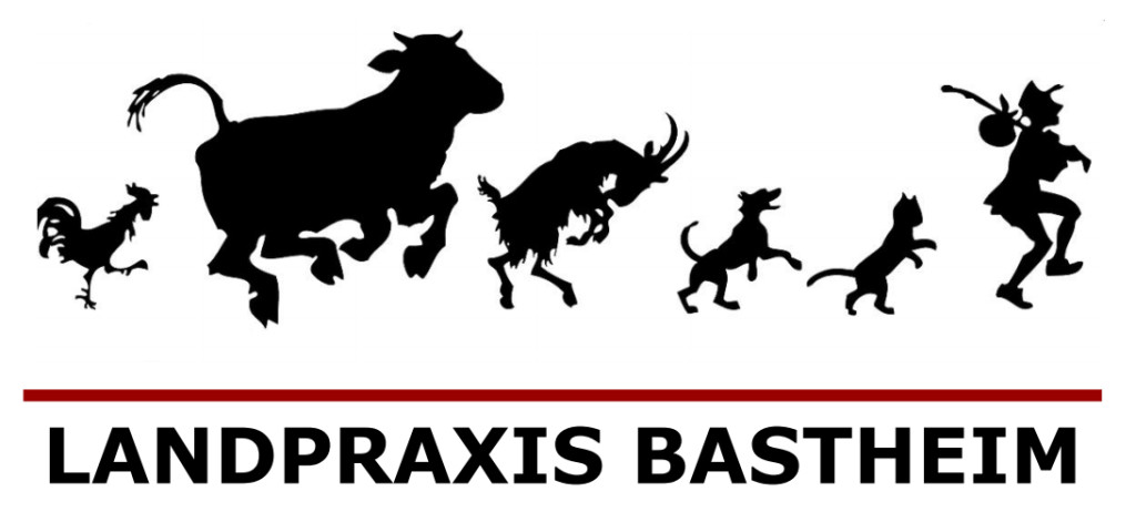 Tierarztpraxis Dr. Diestel