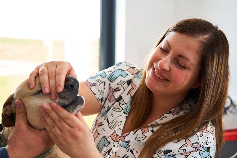 Tierklinik Lautertal