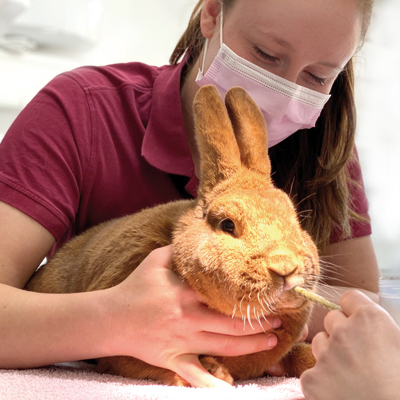 Tierklinik Weilheim