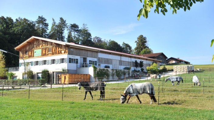 Tierklinik Starnberg - Pferdezentrum