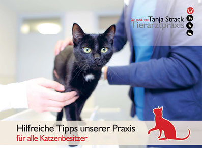 Dr. med. vet. Tanja Strack