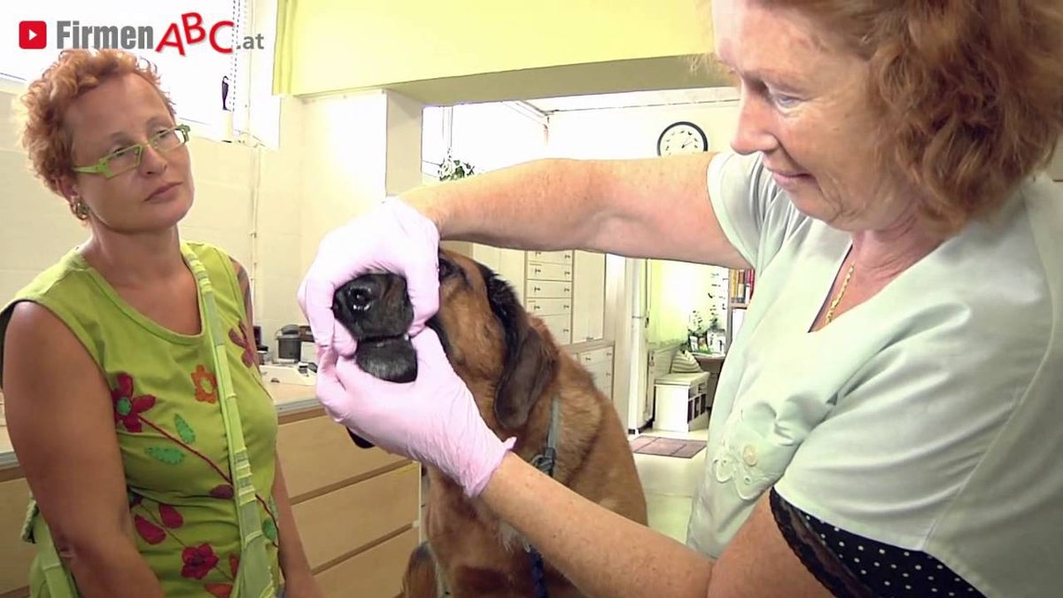 Tierärztin Dr. Astrid Lorenz