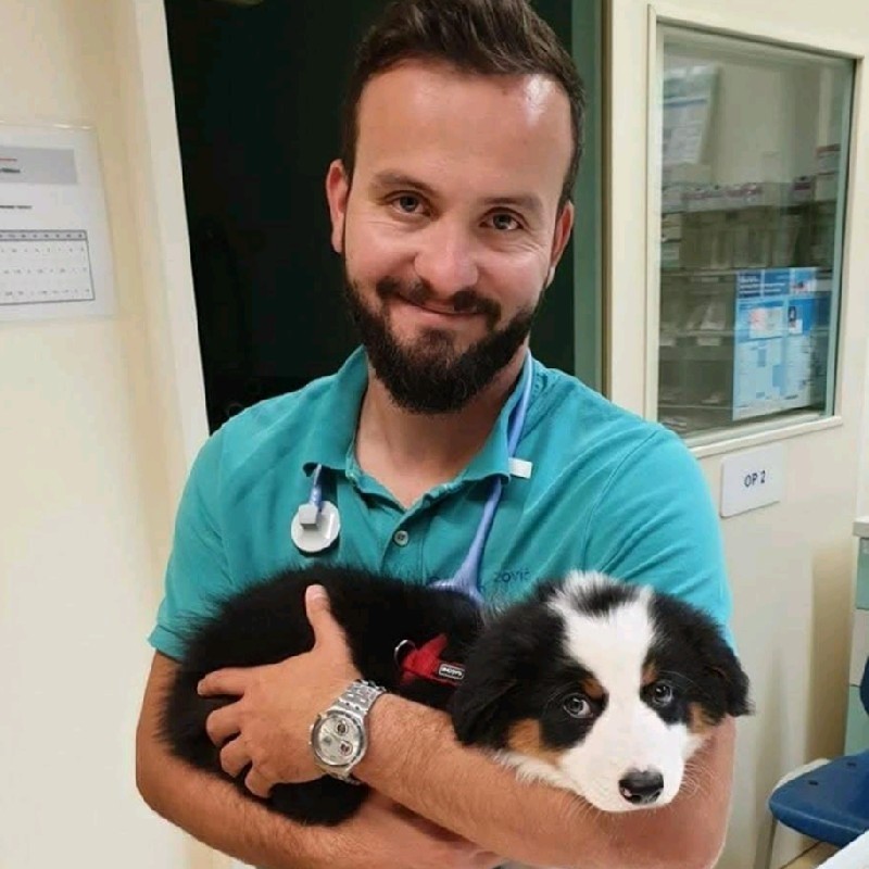 Tierklinik am Schillenberg