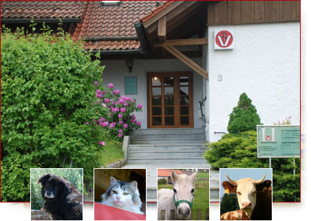 TIERARZTPRAXIS DR. HIENDL (Erreichbarkeit außerhalb Öffnungszeiten)