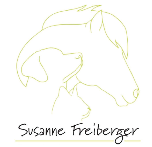 Kleintierpraxis Langenargen Tierärztin Hannah Hetzer