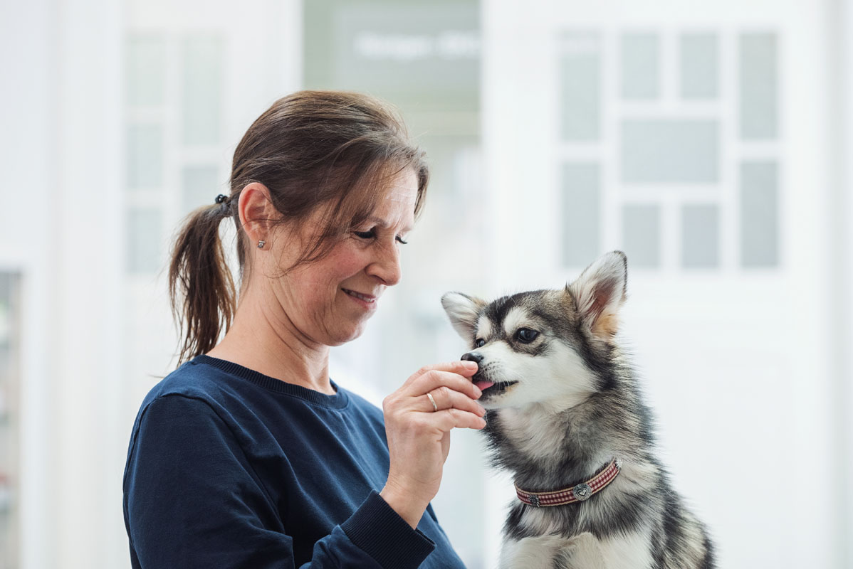 Tierklinik Dr.Himstedt & Dr. Lewan