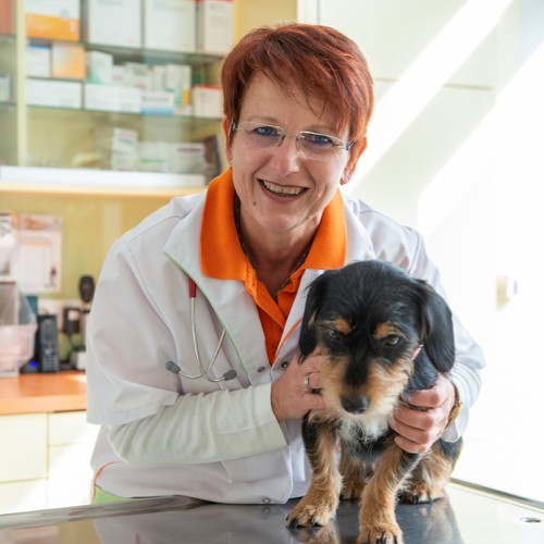 Dr. med. vet. Siegrun Lauboeck